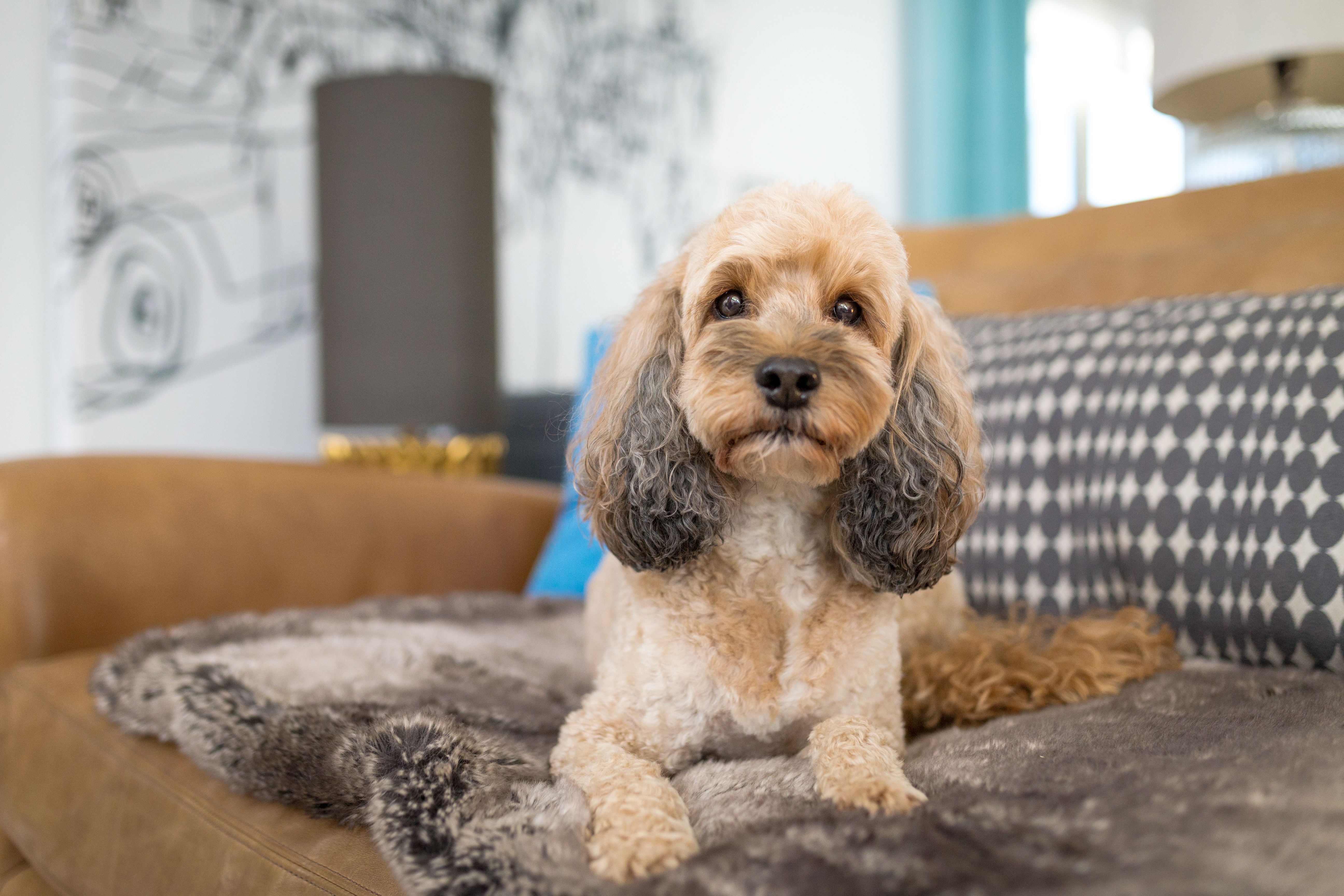 How To Stop the Feeling that Training is Taking Over Your Life