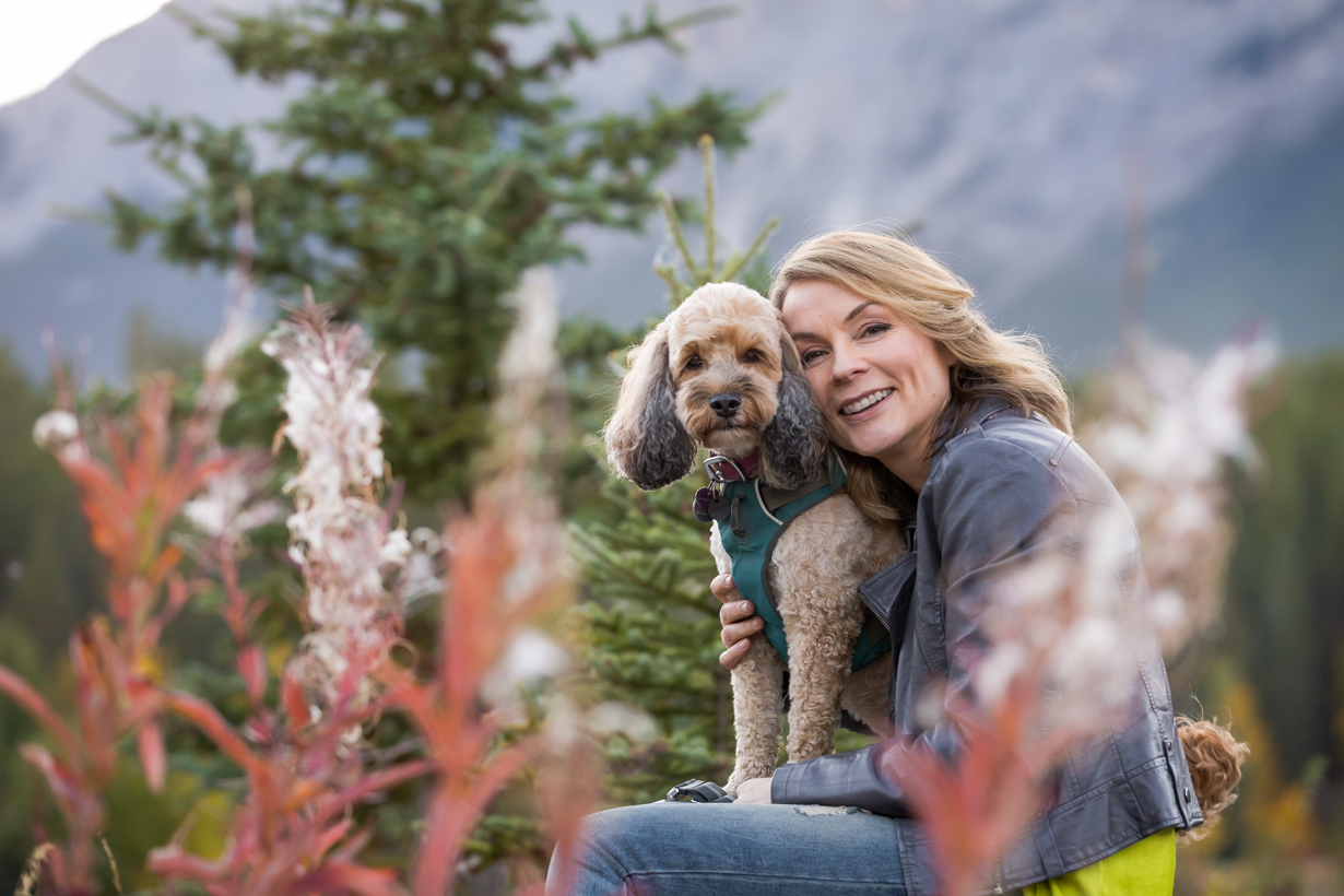 Navigating Your Dog's Separation Anxiety Through the Holiday Season