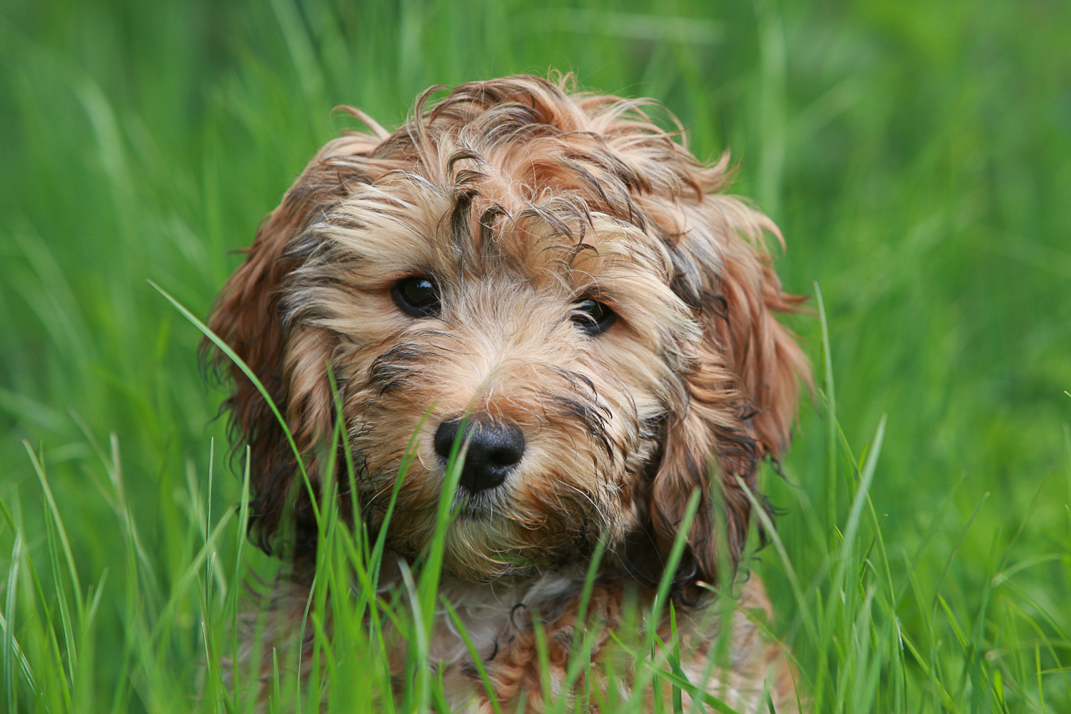 It Happens to Trainers Too!