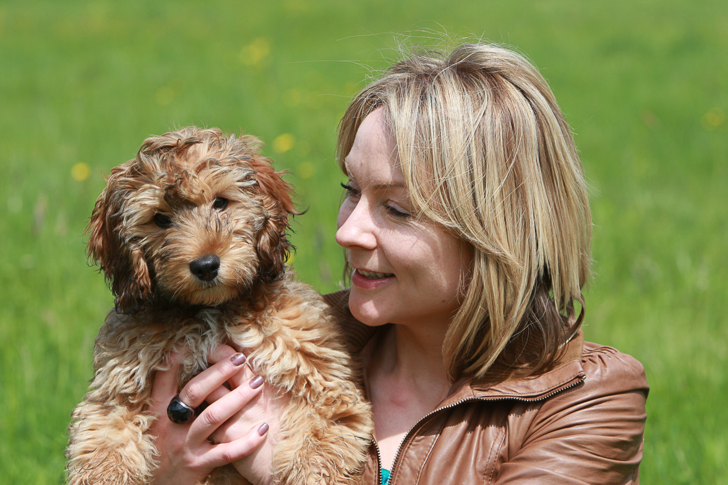 Is separation anxiety training actually unethical? No. Here's why