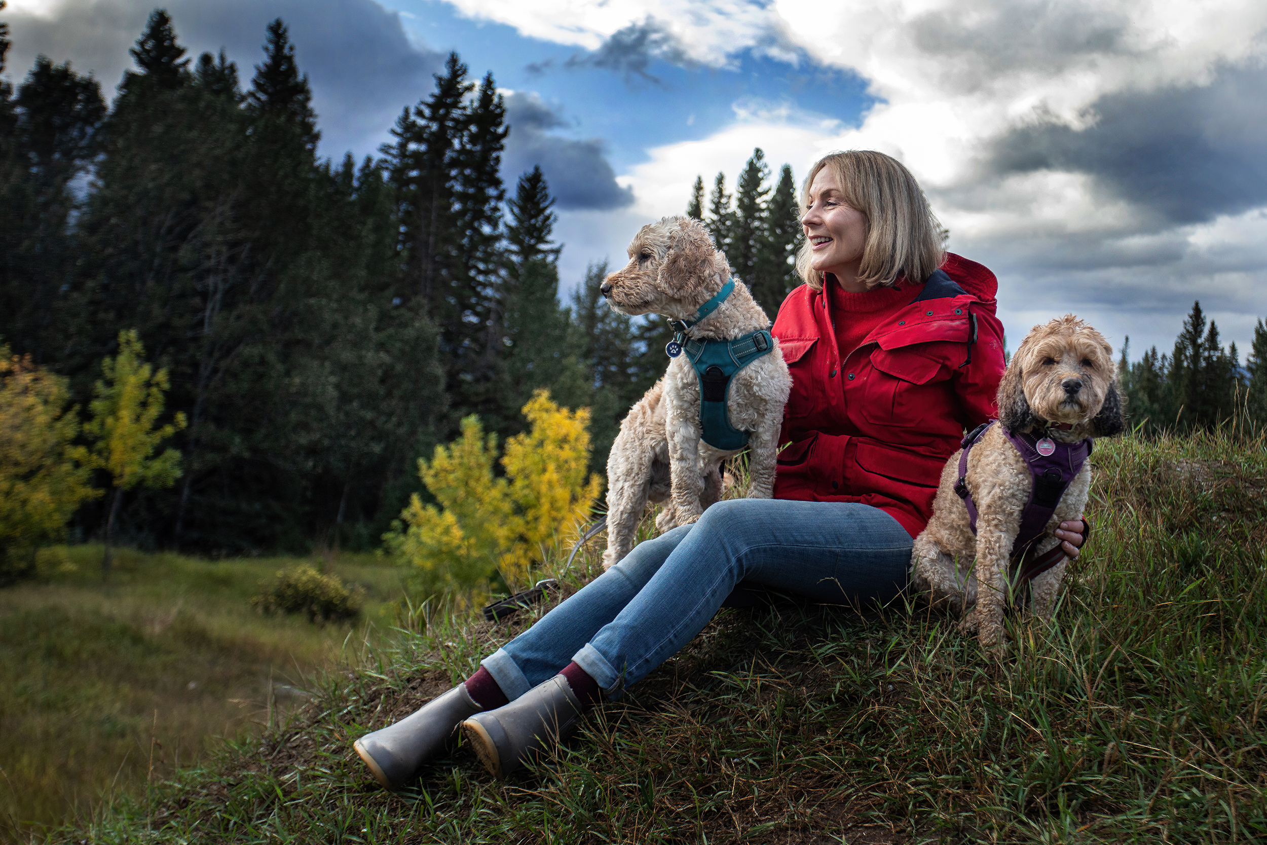 Why We Expect Too Much of Dogs and How to Redress The Balance