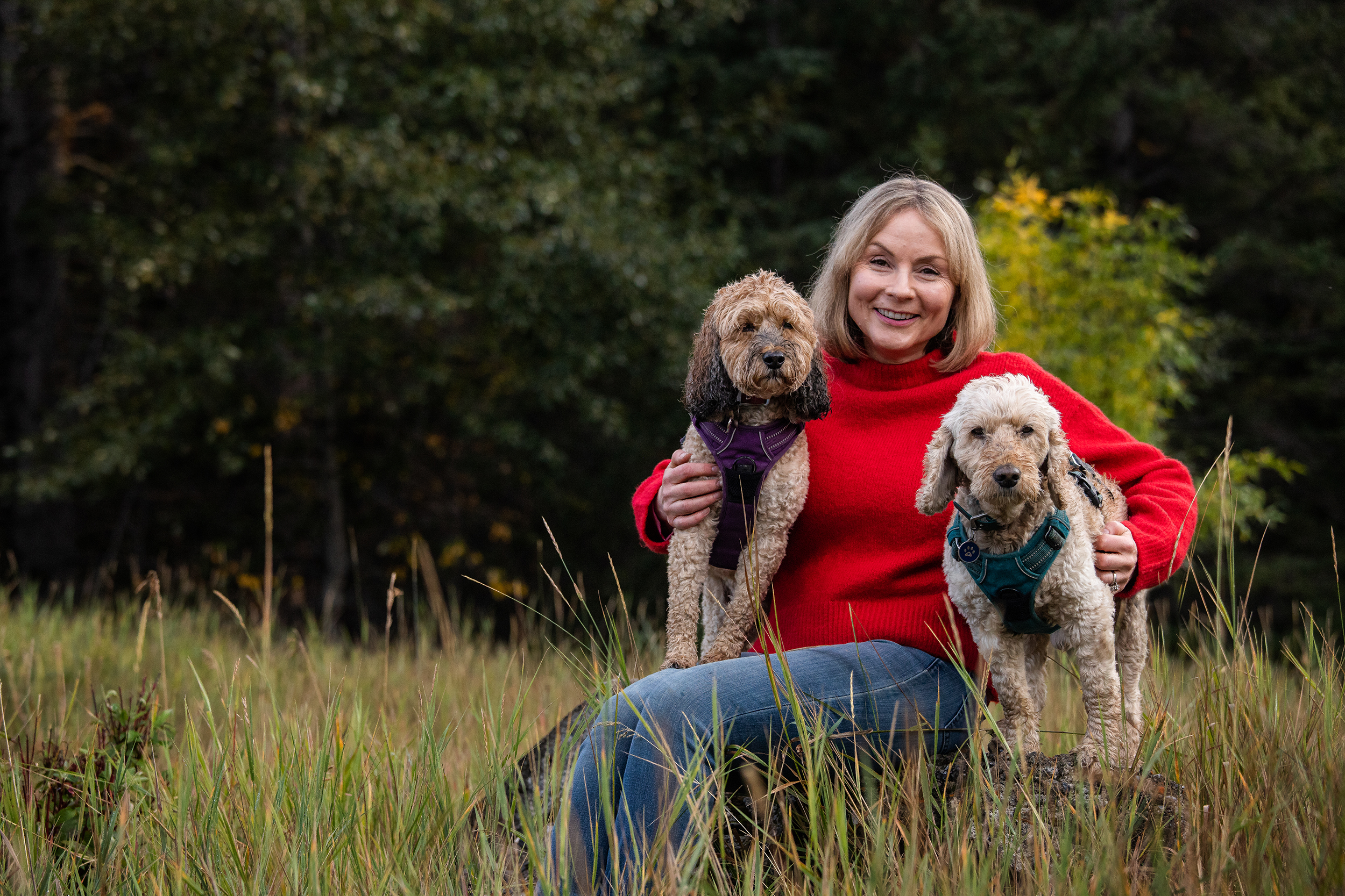 Is It True That Quarantine is Bad News for Separation Anxiety?