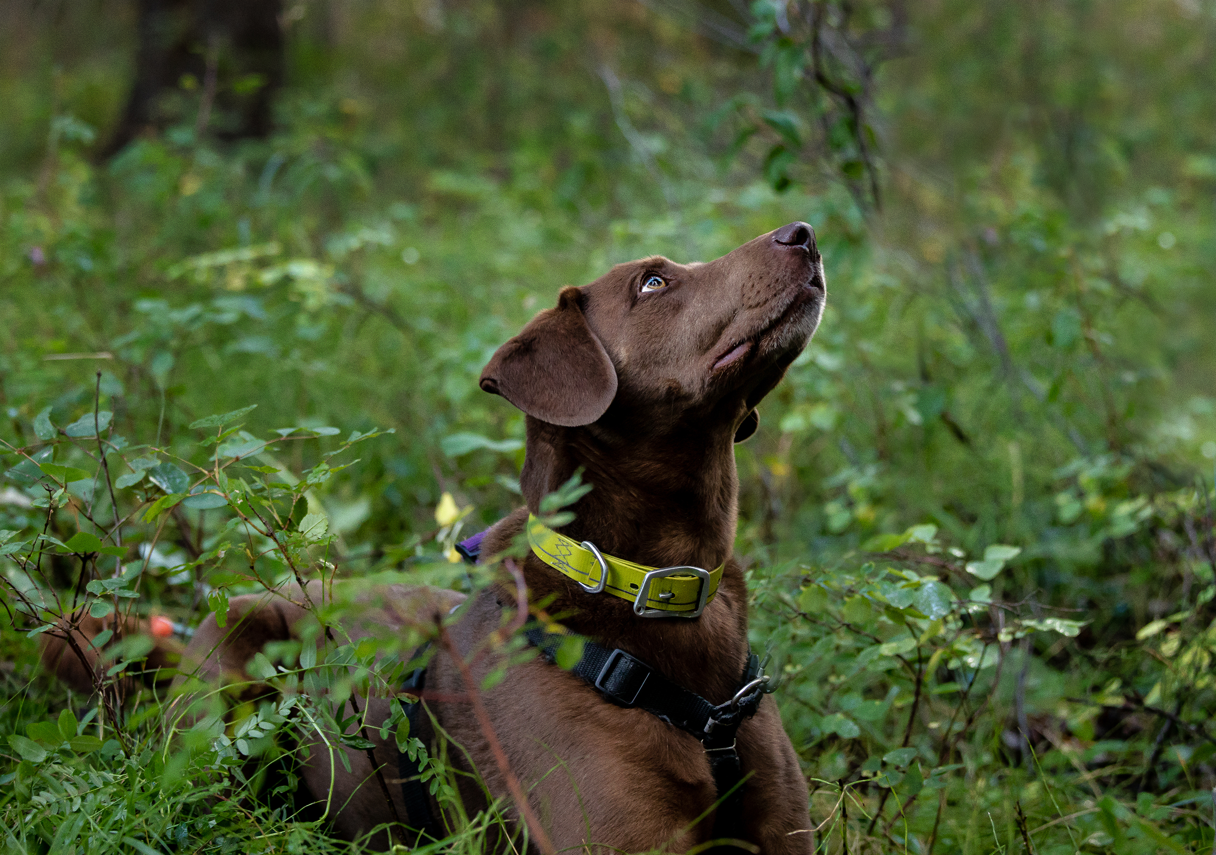 5 Tips for When You Feel Like Quitting Training