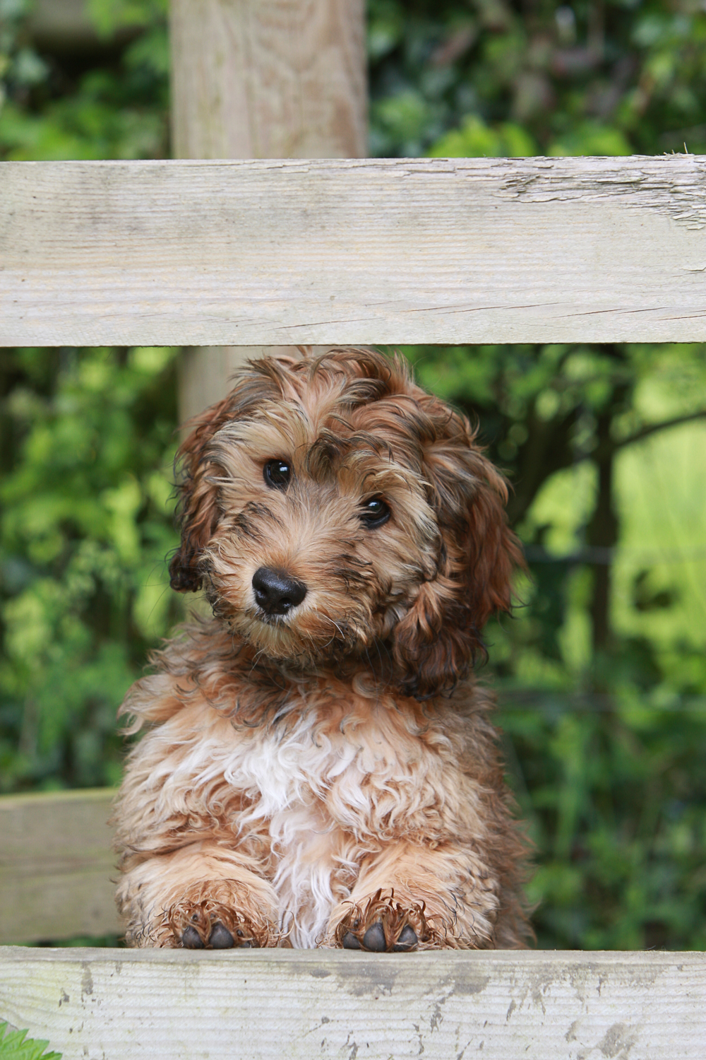 How to Not Feel Deflated When Meds Don't Work