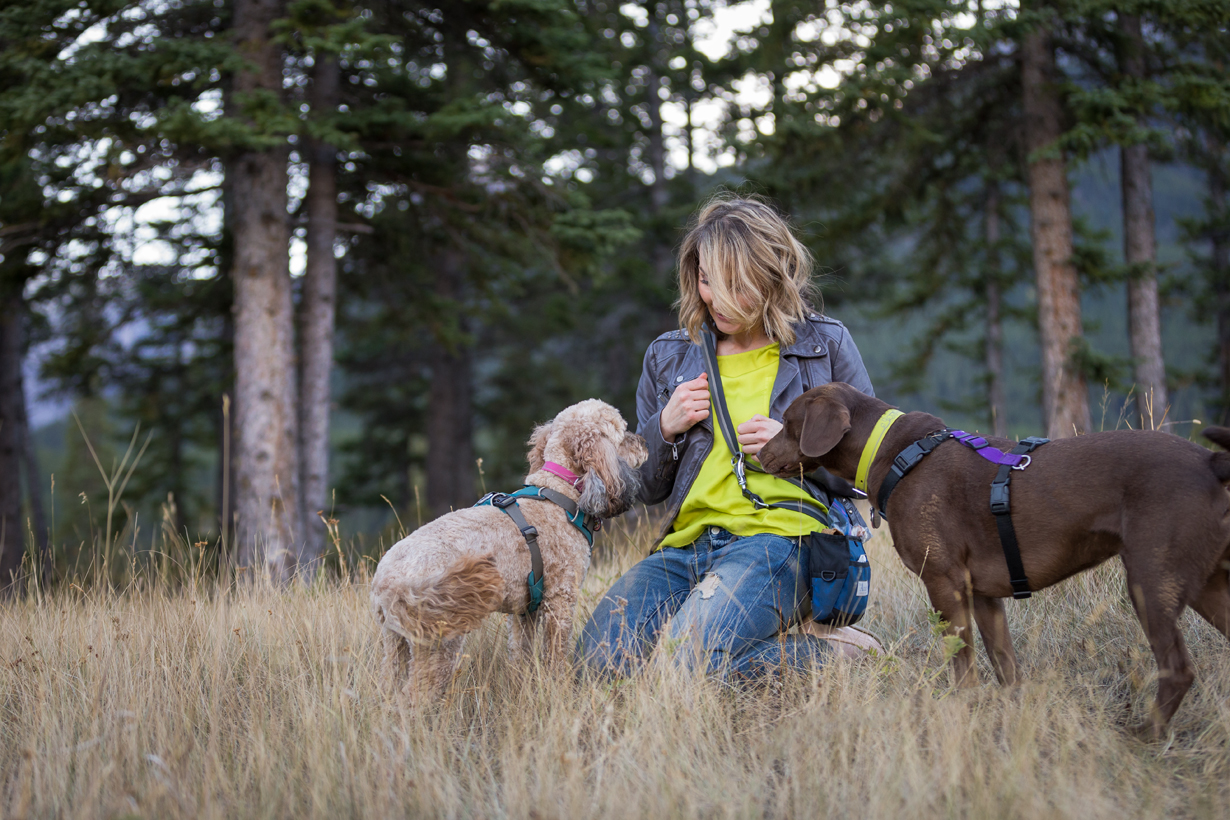 Are You Really The Problem? Separation Anxiety Cause and Prevention