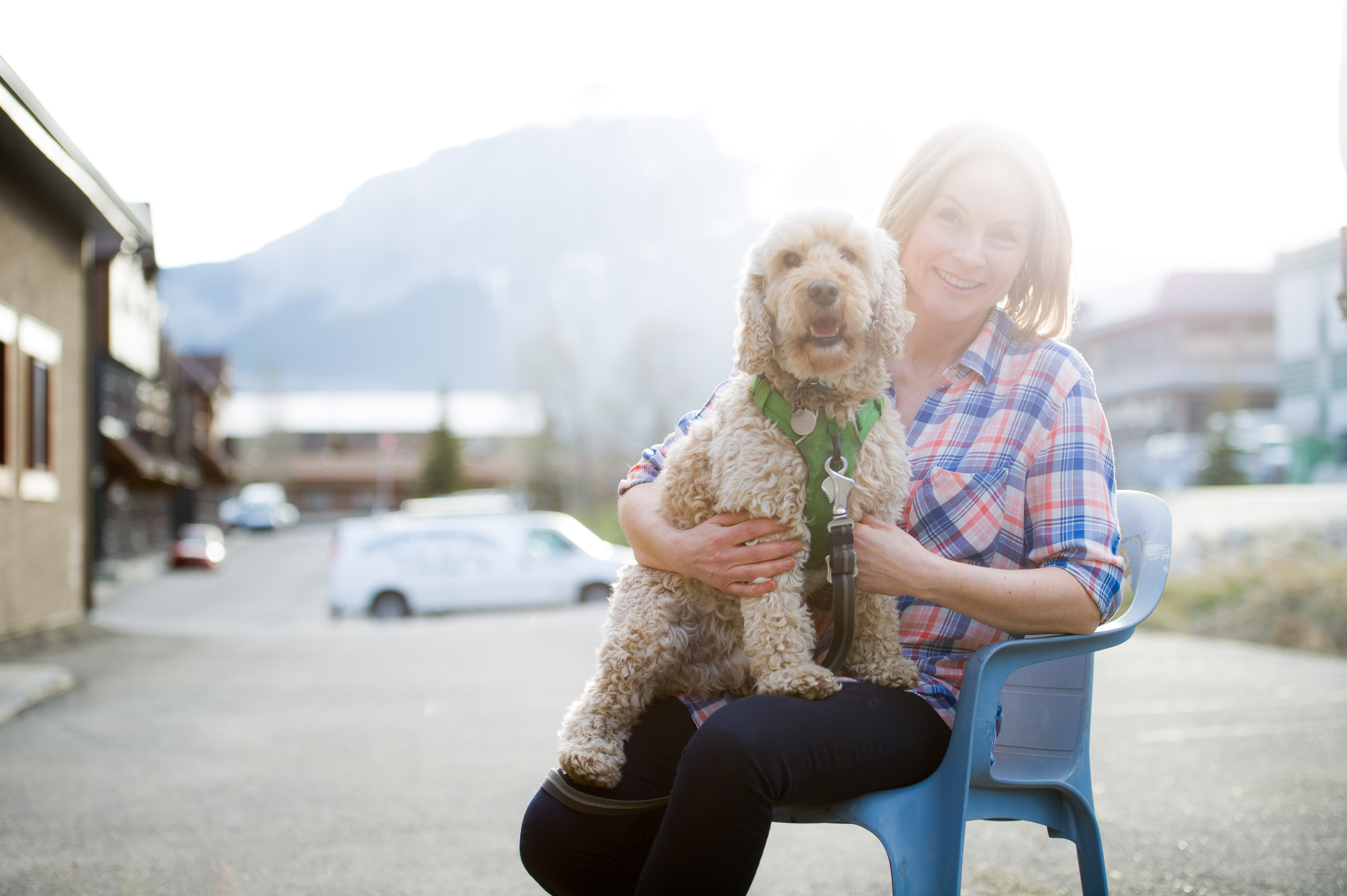 Why You Need To Know What's Normal For Your Dog