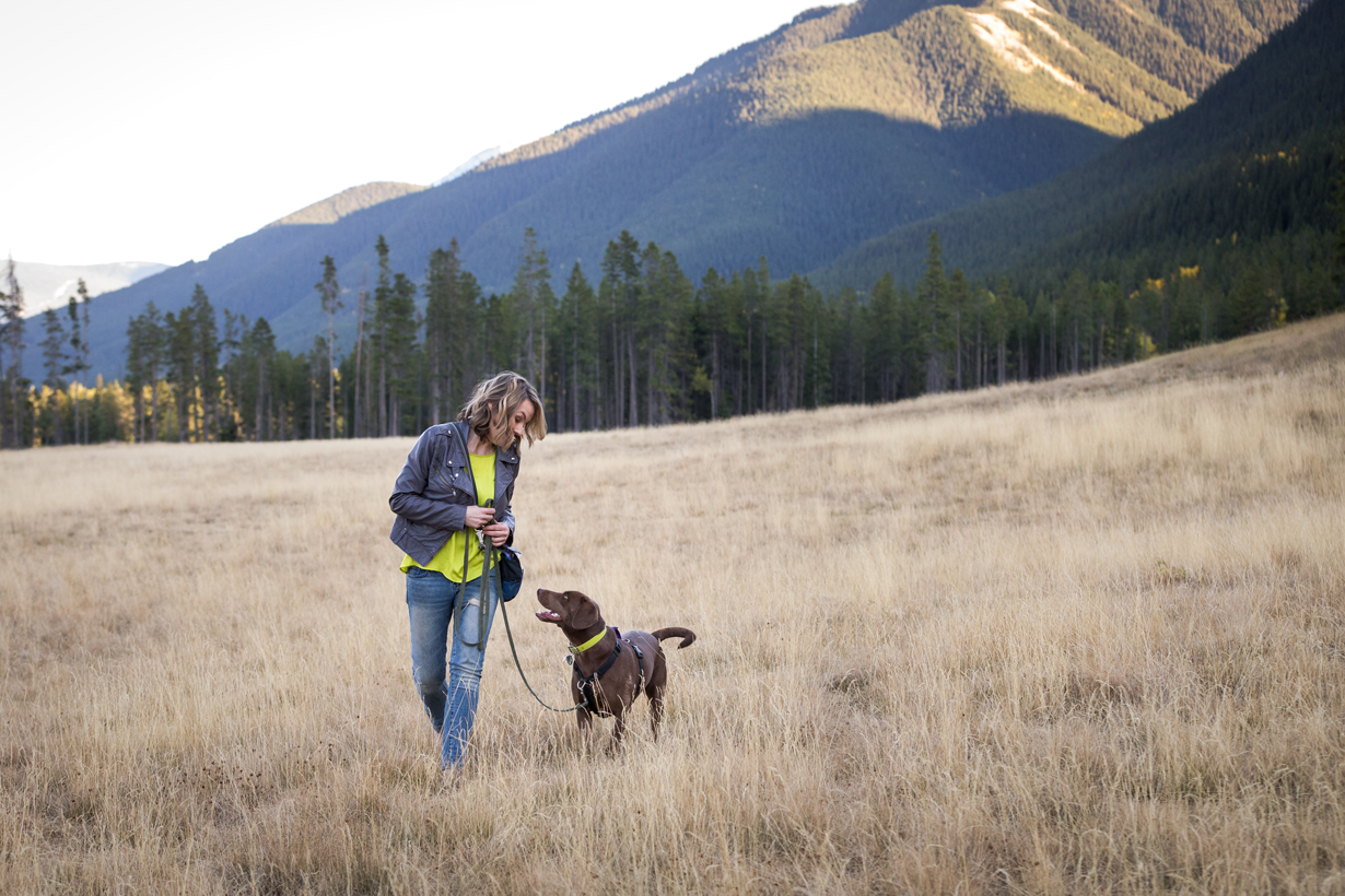 Emergency! What to Do When You're Left with No Choice but to Leave Your Dog